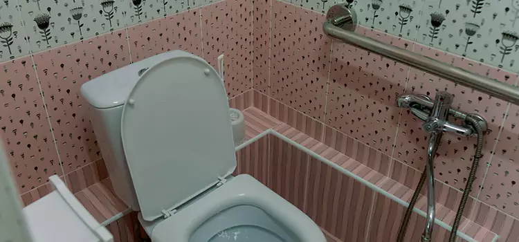 Meeting Diverse Needs With Accessible Restroom Solutions in Sterling, VA